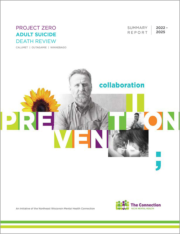 Adult Suicide Death Review report cover